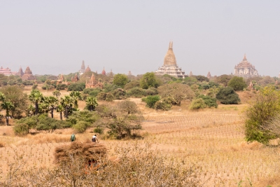 Bagan