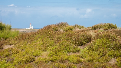 La pointe des Poulains (Belle-Ile-en-Mer)