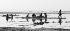 Voyage en Birmanie / Myanmar, en février / mars 2017, avec Luc. Mandalay - Bagan - Lac Inle - Kalaw - Yangoon