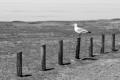 Groix-07