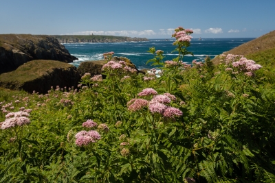 Pointe du Van-09