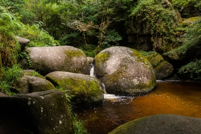 Huelgoat (la mare aux sangliers)