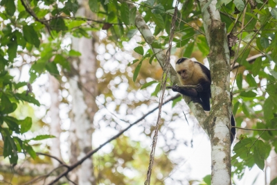 Manuel Antonio Uvita-03