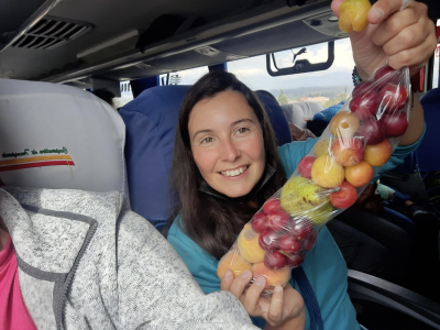 Amazonie-fruits-bus