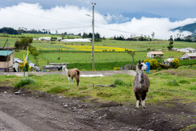 Sur la route pour le parc national Cotopaxi