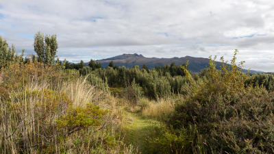 Vue depuis l'hacienda