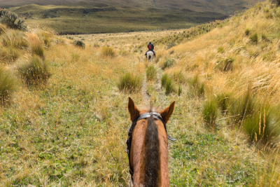 Balade à cheval