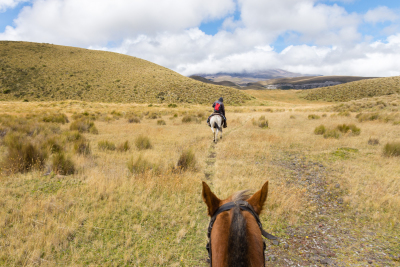 Balade à cheval