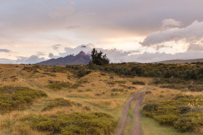 Cotopaxi