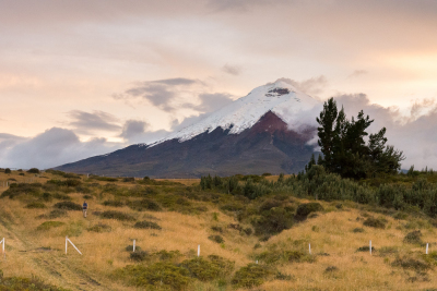 Cotopaxi