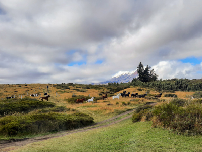 Parc National Cotopaxi