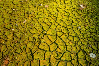 Bassin de Champagney (70) vide