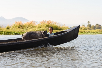 Drôle de rencontre sur le Lac Inle