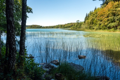 Lac du grand Maclu