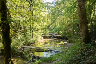 Cascades du hérisson