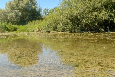 Jolie rencontre sur l'Ain