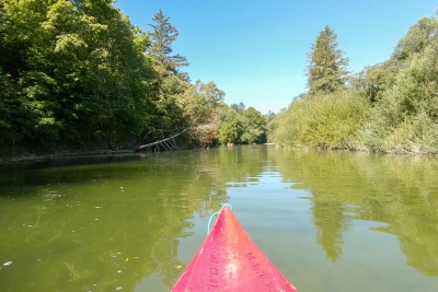 Kayak sur l'Ain