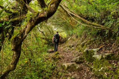 Ascension vers le gite de Bélouve