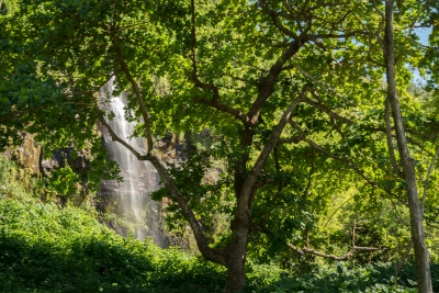 Balade à l'anse des cascades