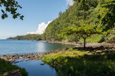 Balade à l'anse des cascades