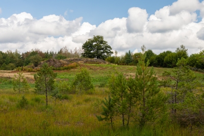 Boucle Entre étangs et prairies