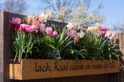 Keukenhof-06