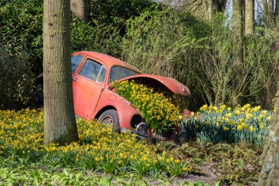 Keukenhof-10