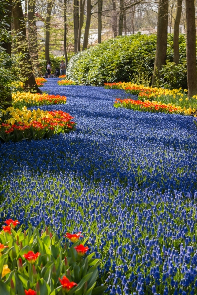 Keukenhof-14