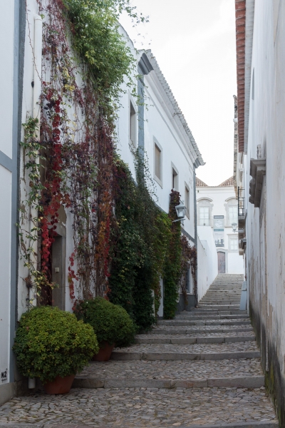 Tavira-07