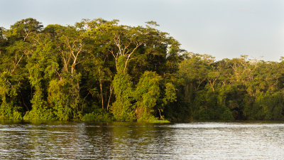 Voyage au Costa Rica, en février 2018, avec Luc. Tortuguero - Arenal - Rio Celeste - Monteverde - Manuel Antonio - Uvita - Corcovado