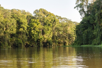 Voyage au Costa Rica, en février 2018, avec Luc. Tortuguero - Arenal - Rio Celeste - Monteverde - Manuel Antonio - Uvita - Corcovado