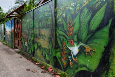 Voyage au Costa Rica, en février 2018, avec Luc. Tortuguero - Arenal - Rio Celeste - Monteverde - Manuel Antonio - Uvita - Corcovado
