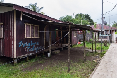 Voyage au Costa Rica, en février 2018, avec Luc. Tortuguero - Arenal - Rio Celeste - Monteverde - Manuel Antonio - Uvita - Corcovado